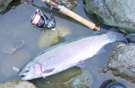 大物を５匹キャッチ！ ～天竜川ルアーフライテンカラ専用区～